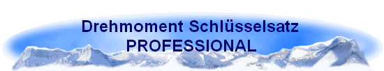 Drehmoment Schl�sselsatz 
PROFESSIONAL